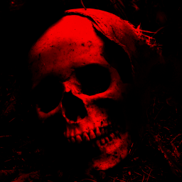 Nick Pfisterer's profile image